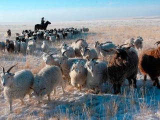 Хакасия вполне может стать процветающей аграрной провинцией