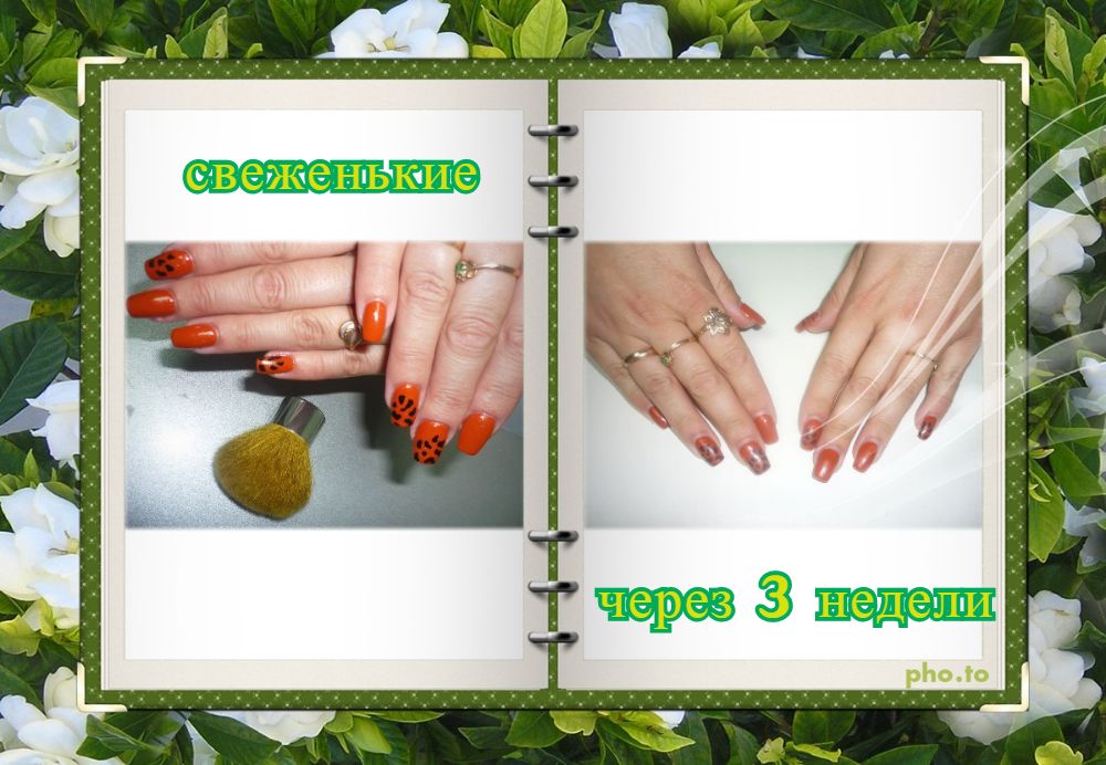 Саяногорск Инфо - bufnh45.jpeg, Скачано: 270