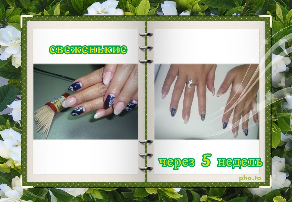 Саяногорск Инфо - zeljscw.jpeg, Скачано: 272