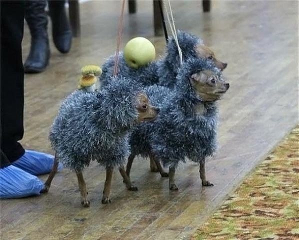Саяногорск Инфо - eeee.jpg, Скачано: 150