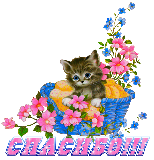 Саяногорск Инфо - 707524889.gif, Скачано: 239
