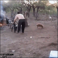 Саяногорск Инфо - 01.12.15-1.gif, Скачано: 404