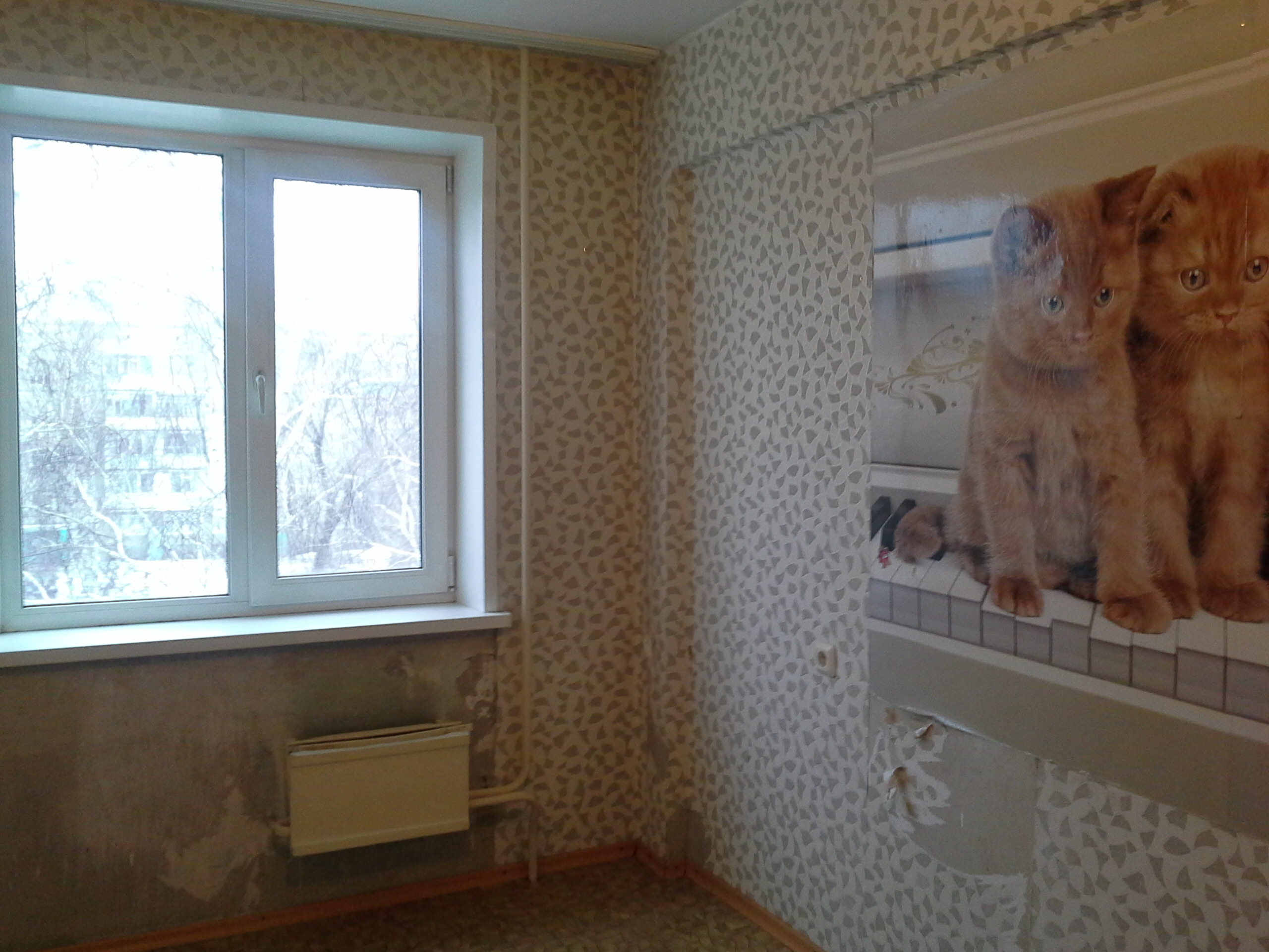 Саяногорск Инфо - 20160206_164430.jpg, Скачано: 43