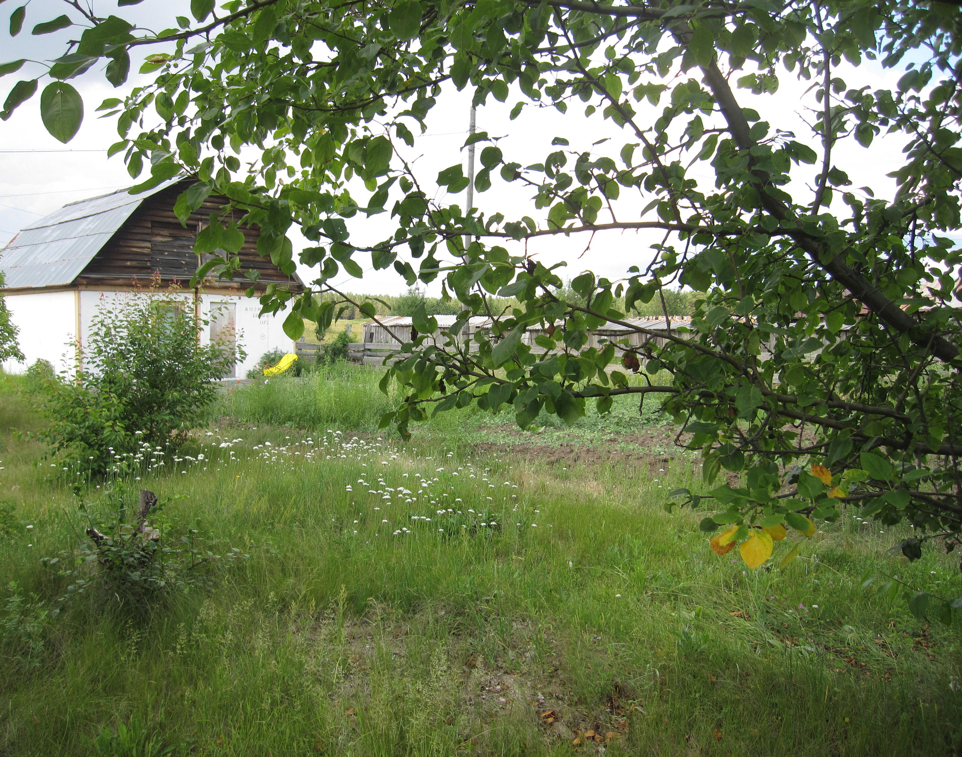 Саяногорск Инфо - img_6601.jpg, Скачано: 97
