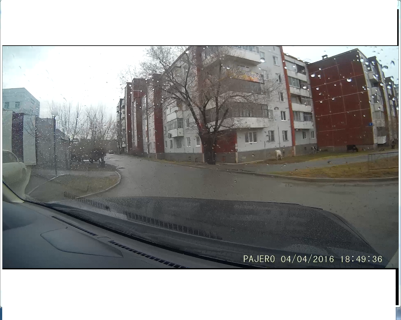 Саяногорск Инфо - korovy-1.png, Скачано: 250