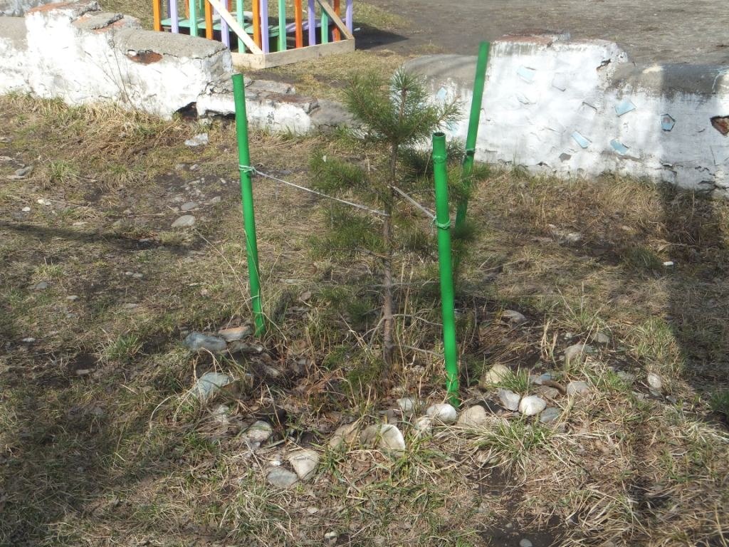 Саяногорск Инфо - dscf9999.jpg, Скачано: 75