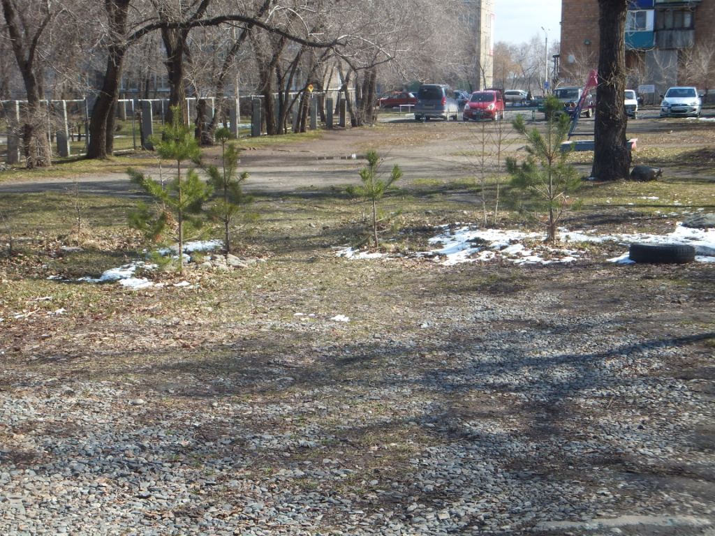 Саяногорск Инфо - dscf9993.jpg, Скачано: 72