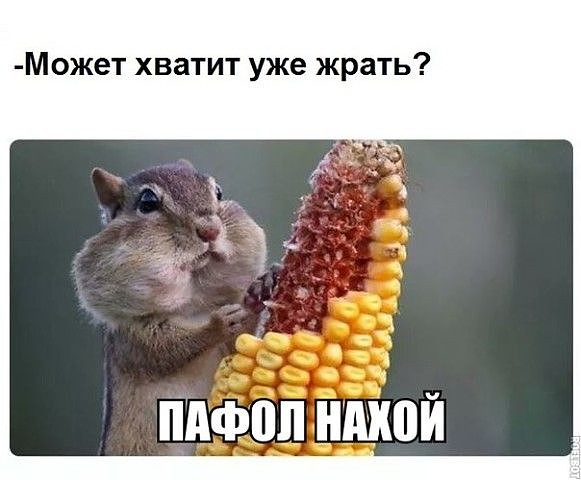 Саяногорск Инфо - image.jpg, Скачано: 308
