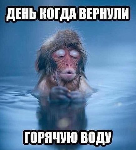 Саяногорск Инфо - image-15.jpeg, Скачано: 112
