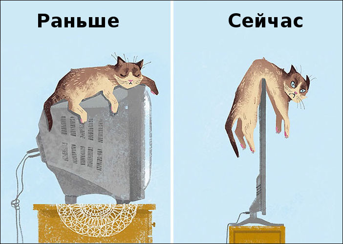 Саяногорск Инфо - cat-then-and-now-000.jpg, Скачано: 236
