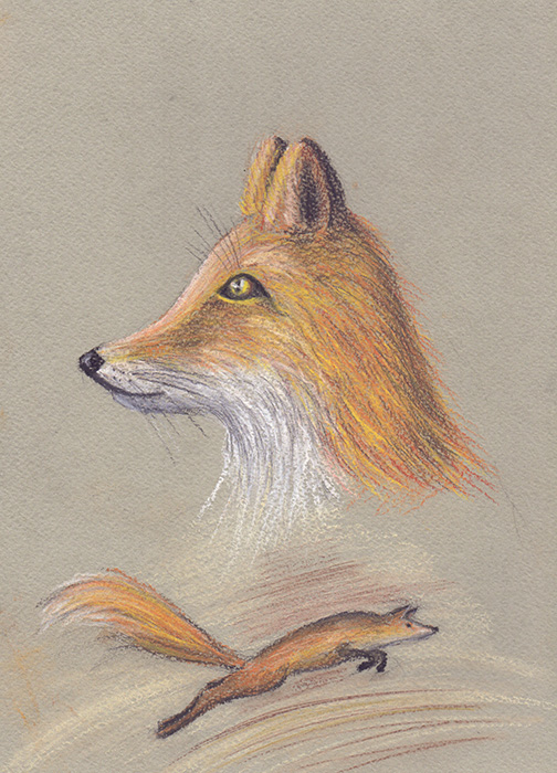 Саяногорск Инфо - fox-small.jpg,  70