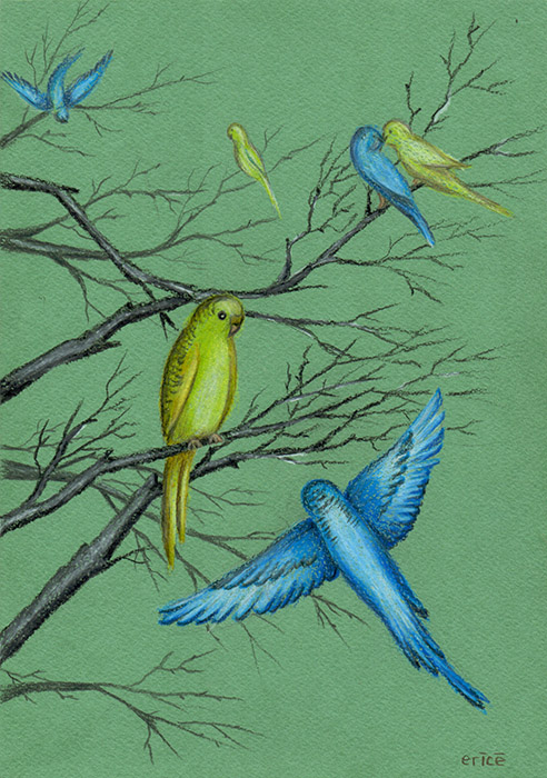 Саяногорск Инфо - parrots-small.jpg, Скачано: 89