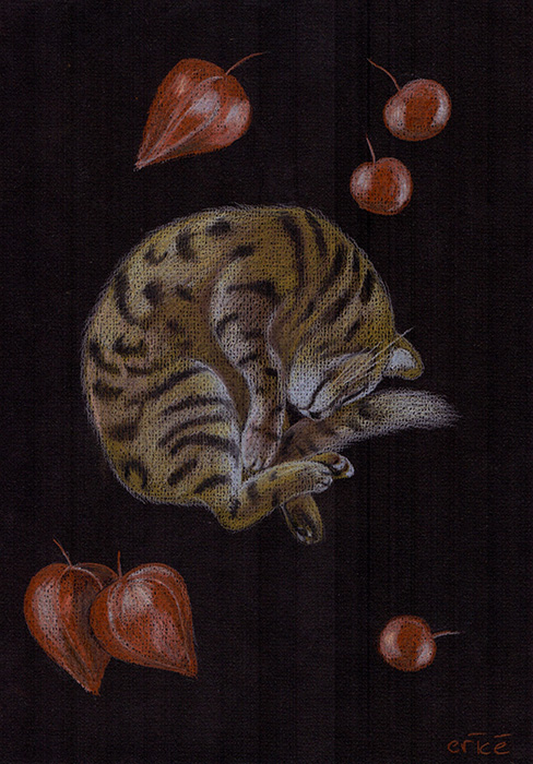 Саяногорск Инфо - neko-cat-small.jpg,  77