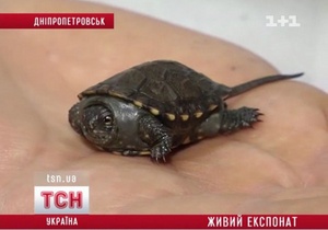 Саяногорск Инфо - 55.jpeg, Скачано: 1