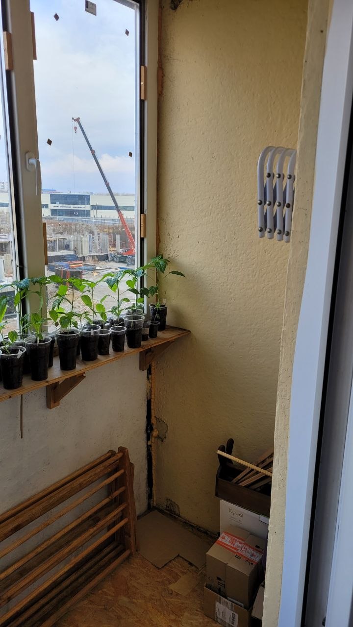 Саяногорск Инфо - img_20260421_230000_261.jpg, Скачано: 3