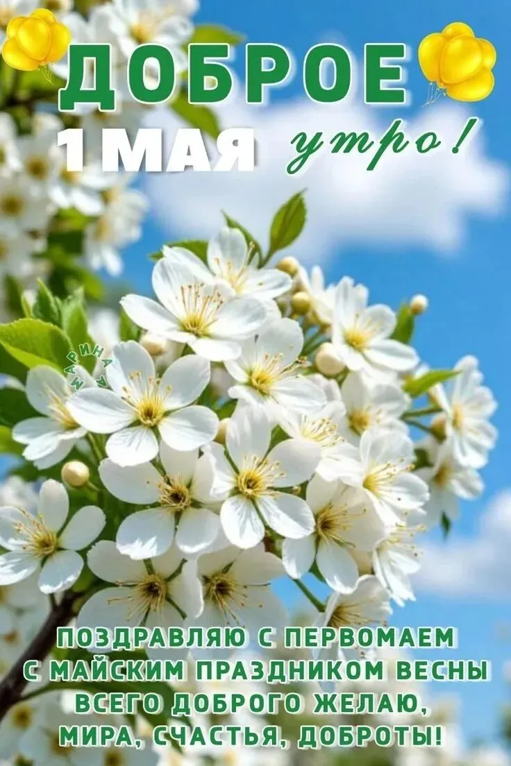 Саяногорск Инфо - image.png, Скачано: 9
