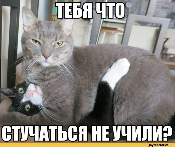 Саяногорск Инфо - komiksy-kote-popalis-pesochnica-672770.jpeg, Скачано: 1