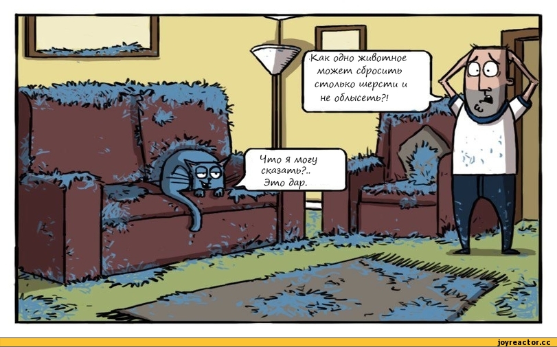 Саяногорск Инфо - kote-dar-sherst-komiksy-555411.jpeg, Скачано: 0