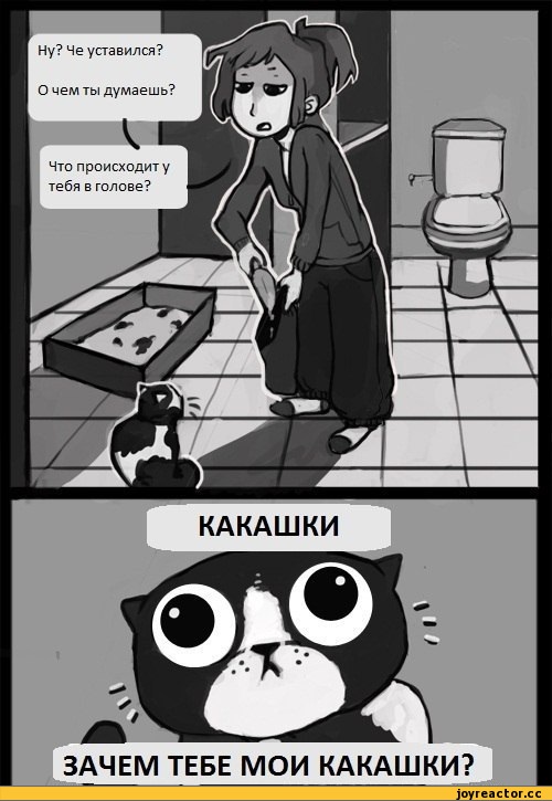 Саяногорск Инфо - komiksy-kote-kakashki-546251.jpeg, Скачано: 0