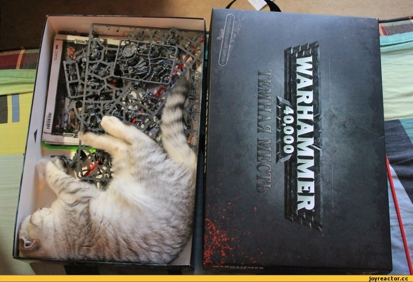Саяногорск Инфо - warhammer-kote-539530.jpeg, Скачано: 0