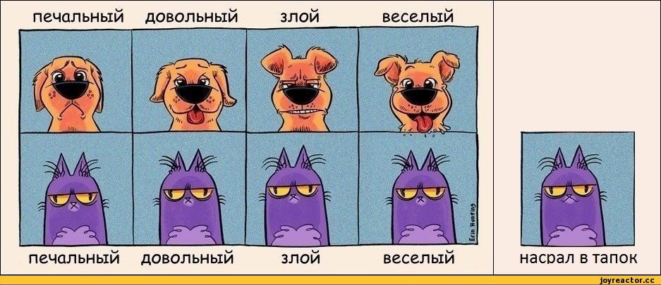Саяногорск Инфо - kote-sobaki-hladnokrovie-smeshnye-kartinki-641101.jpeg, Скачано: 0