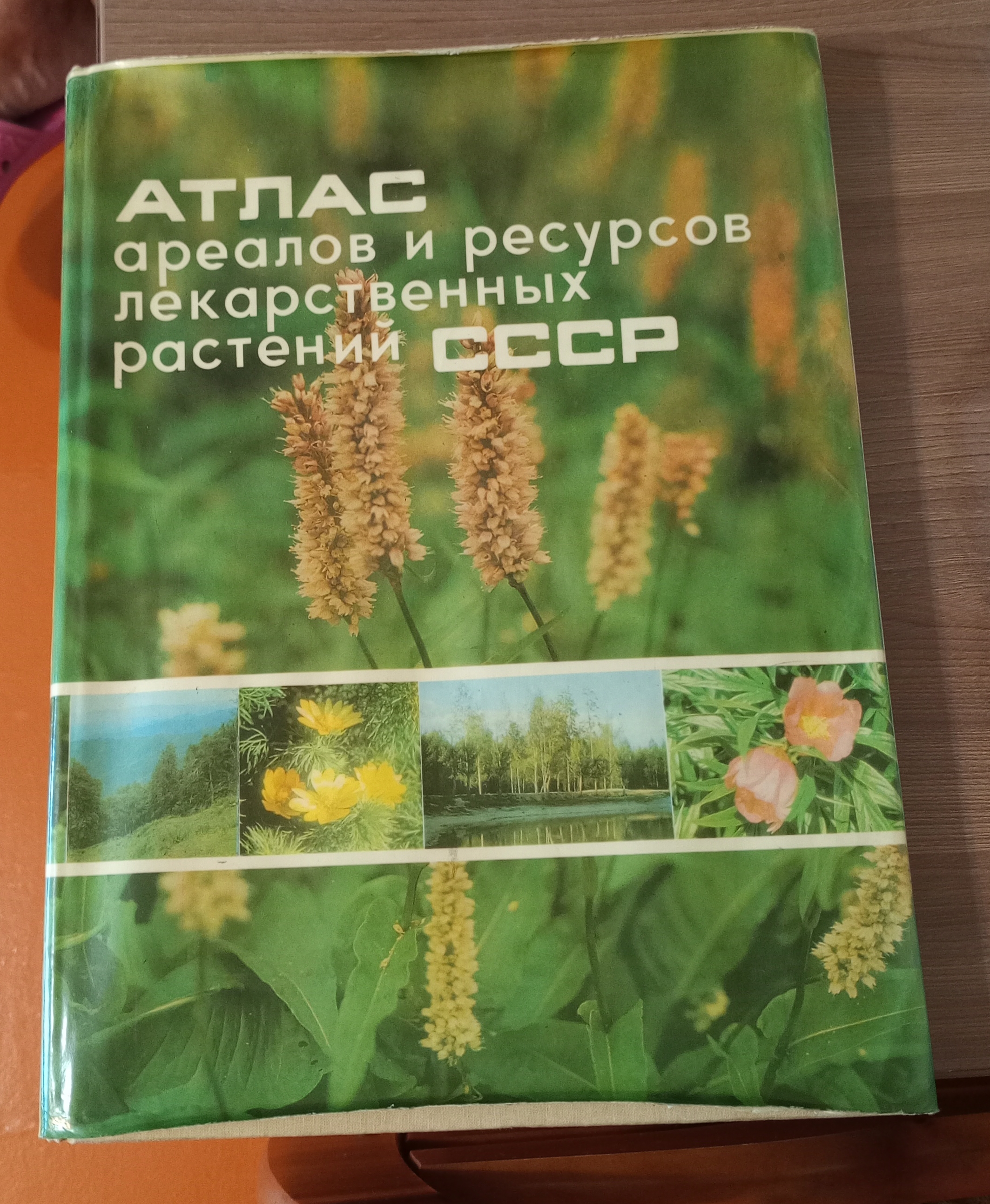 Саяногорск Инфо - 1790389190697.jpg, Скачано: 3