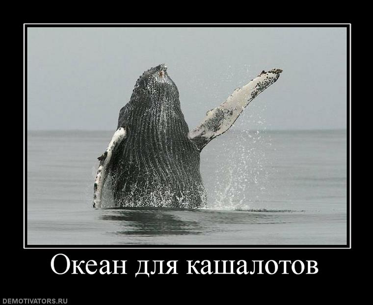 Саяногорск Инфо - 313274_okean_dlya_kashalotov.jpg, Скачано: 280
