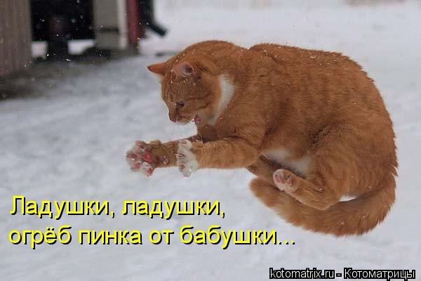 Саяногорск Инфо - ai9erqw1xjw.jpg, Скачано: 195
