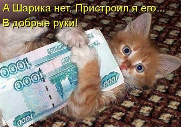 Саяногорск Инфо - 2omzj2bejdi.jpg, Скачано: 227