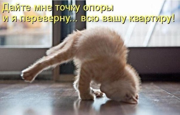 Саяногорск Инфо - v72uu1ejq9q.jpg, Скачано: 181