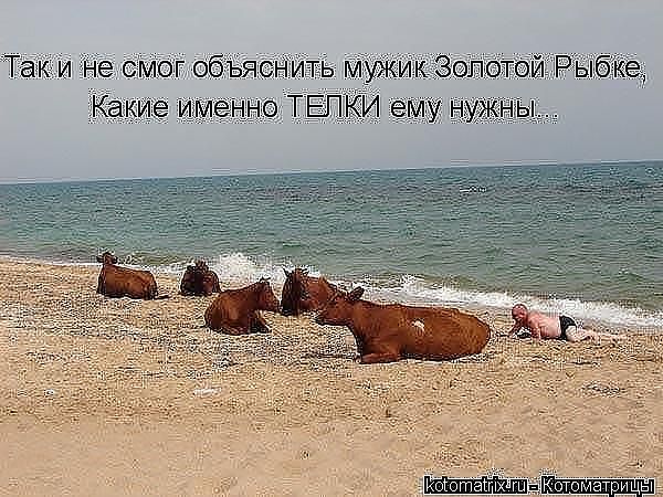 Саяногорск Инфо - getimage-2-.jpg, Скачано: 303