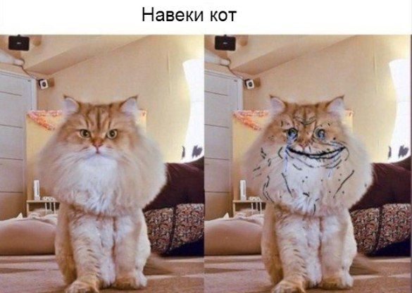 Саяногорск Инфо - pics-084.jpg, Скачано: 170