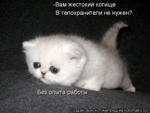 Саяногорск Инфо - 1331292938_1331270539_1331196524_6.jpg, Скачано: 121