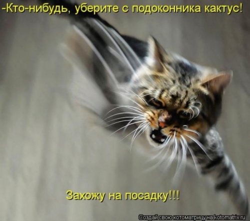Саяногорск Инфо - 1331292987_1331270486_1331196548_1.jpg, Скачано: 117