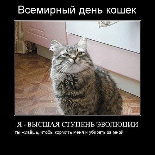 Саяногорск Инфо - rabstvo.jpg, Скачано: 317