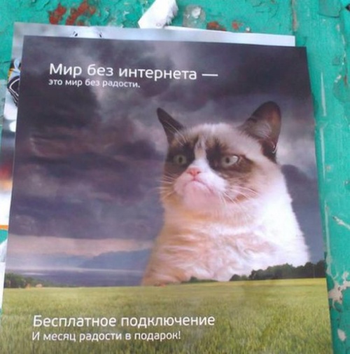 Саяногорск Инфо - 7285405-r3l8t8d-500-f447c88128f2230e580afc49a0f.jpg, Скачано: 267