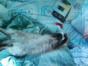 Саяногорск Инфо - foto-0002.jpg, Скачано: 121