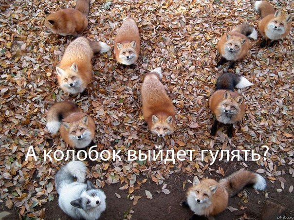 Саяногорск Инфо - 59126494834290228.jpg, Скачано: 308
