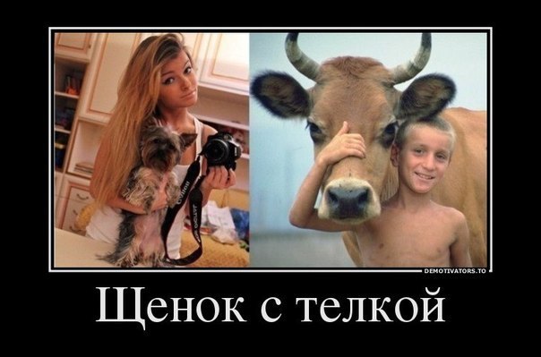 Саяногорск Инфо - 446590232588690113.jpg, Скачано: 378