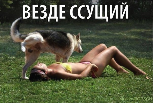 Саяногорск Инфо - pes1.jpg, Скачано: 150