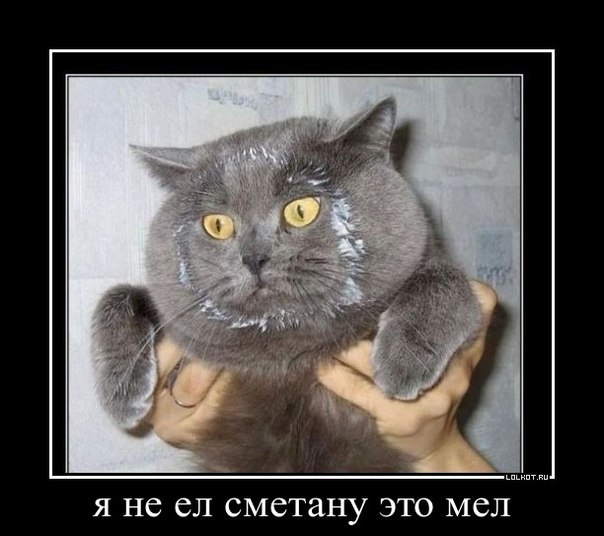 Саяногорск Инфо - n-kz3v6p0gk.jpg, Скачано: 156