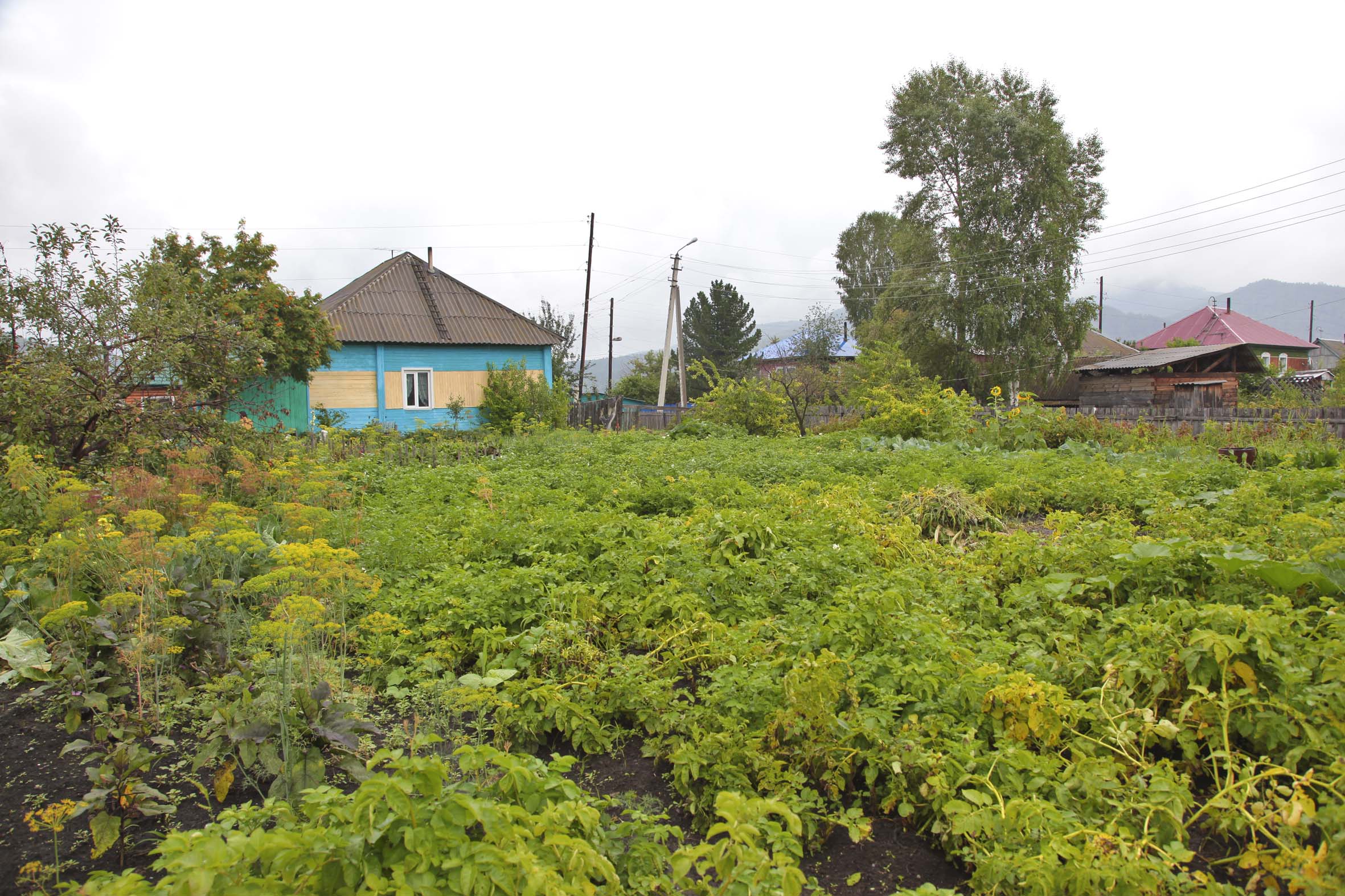 Саяногорск Инфо - img_2155.jpg, Скачано: 513