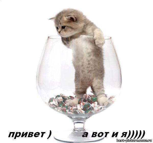Саяногорск Инфо - _privet-a-vot-i-ya.jpg, Скачано: 190