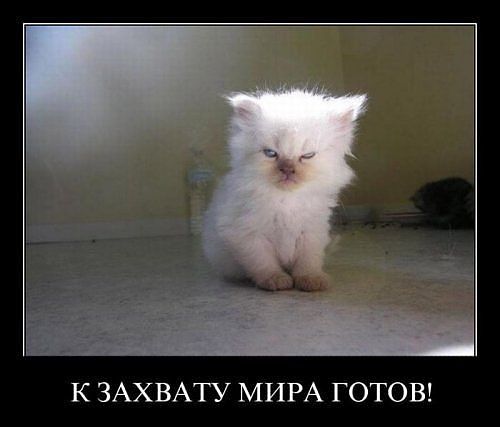Саяногорск Инфо - getimage.jpeg, Скачано: 149