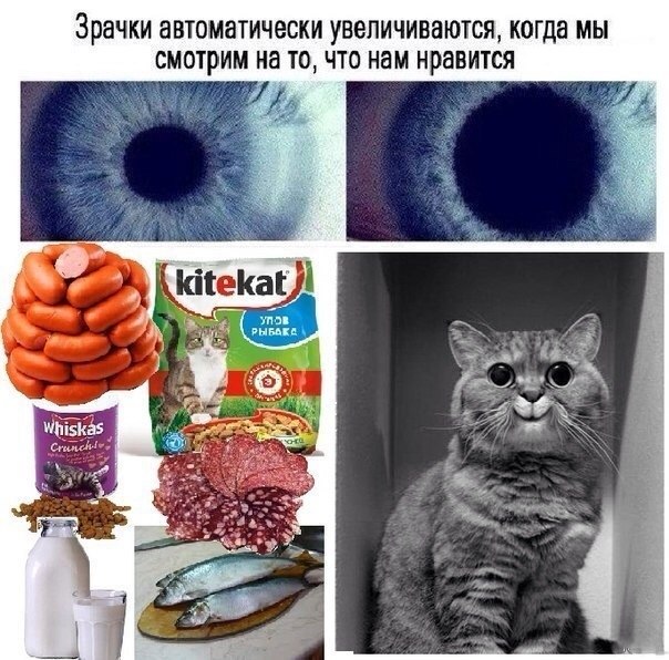 Саяногорск Инфо - 2knnycmwqim.jpg, Скачано: 186