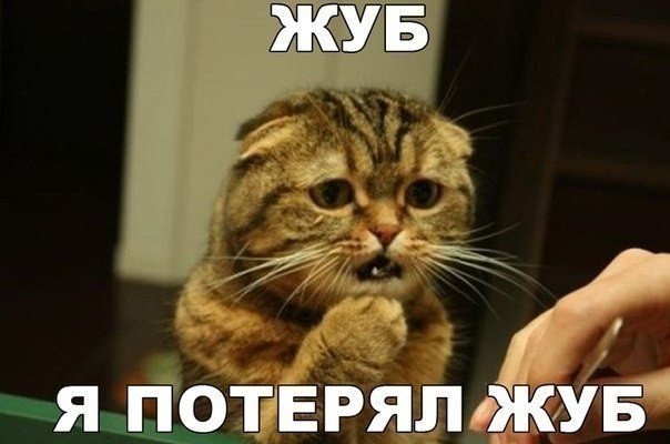 Саяногорск Инфо - kot-zub.jpg, Скачано: 196