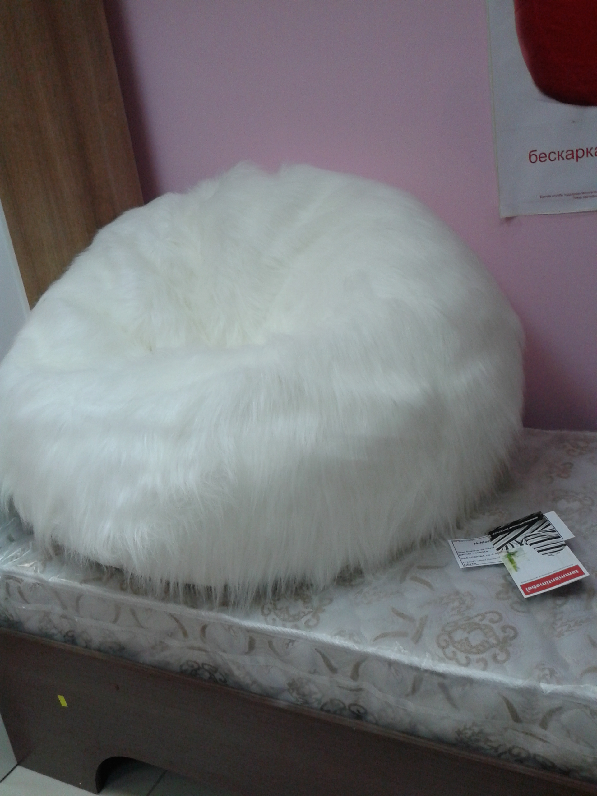 Саяногорск Инфо - 20131115_123316.jpg, Скачано: 712