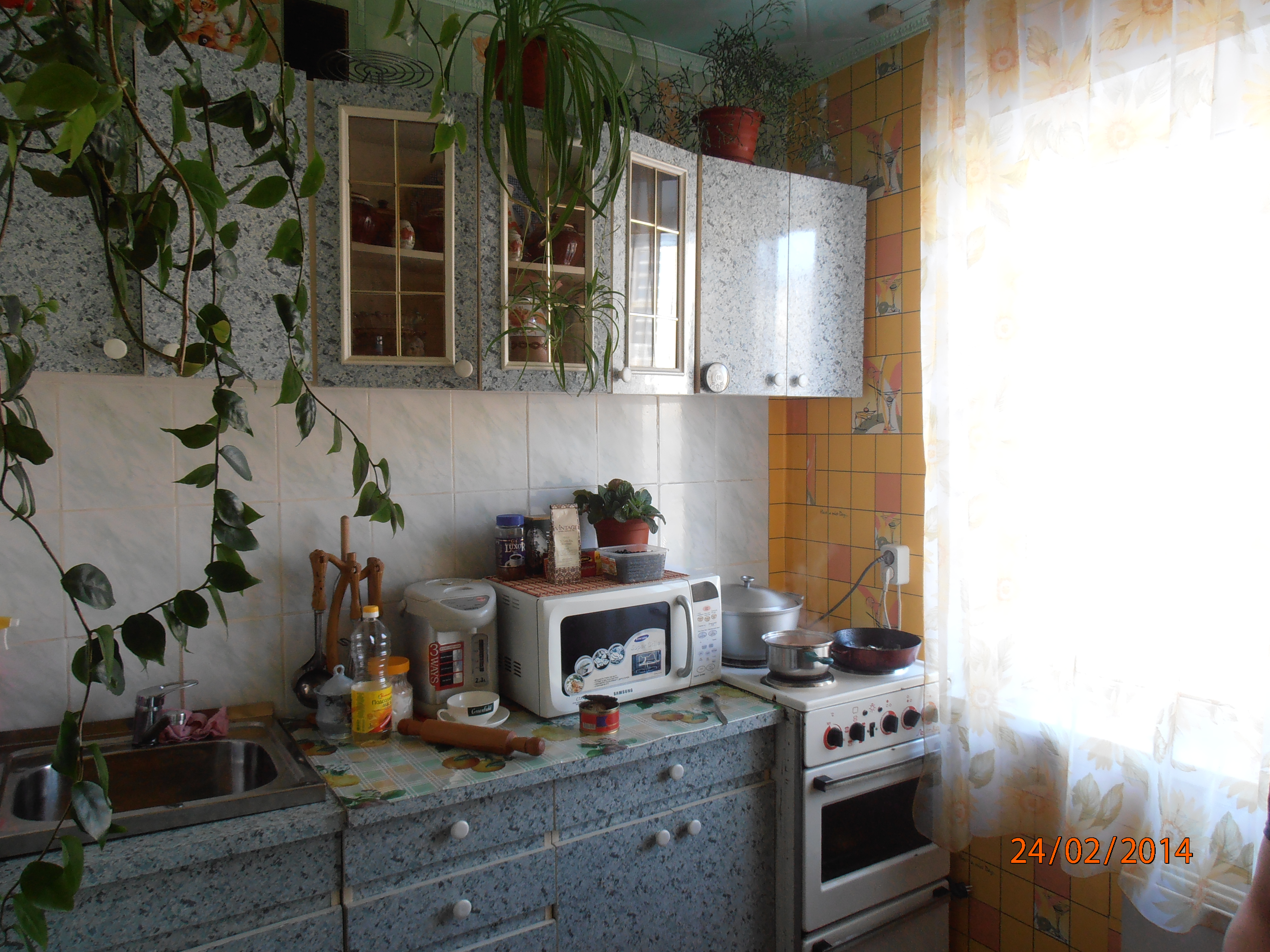 Саяногорск Инфо - p2240284.jpg, Скачано: 296