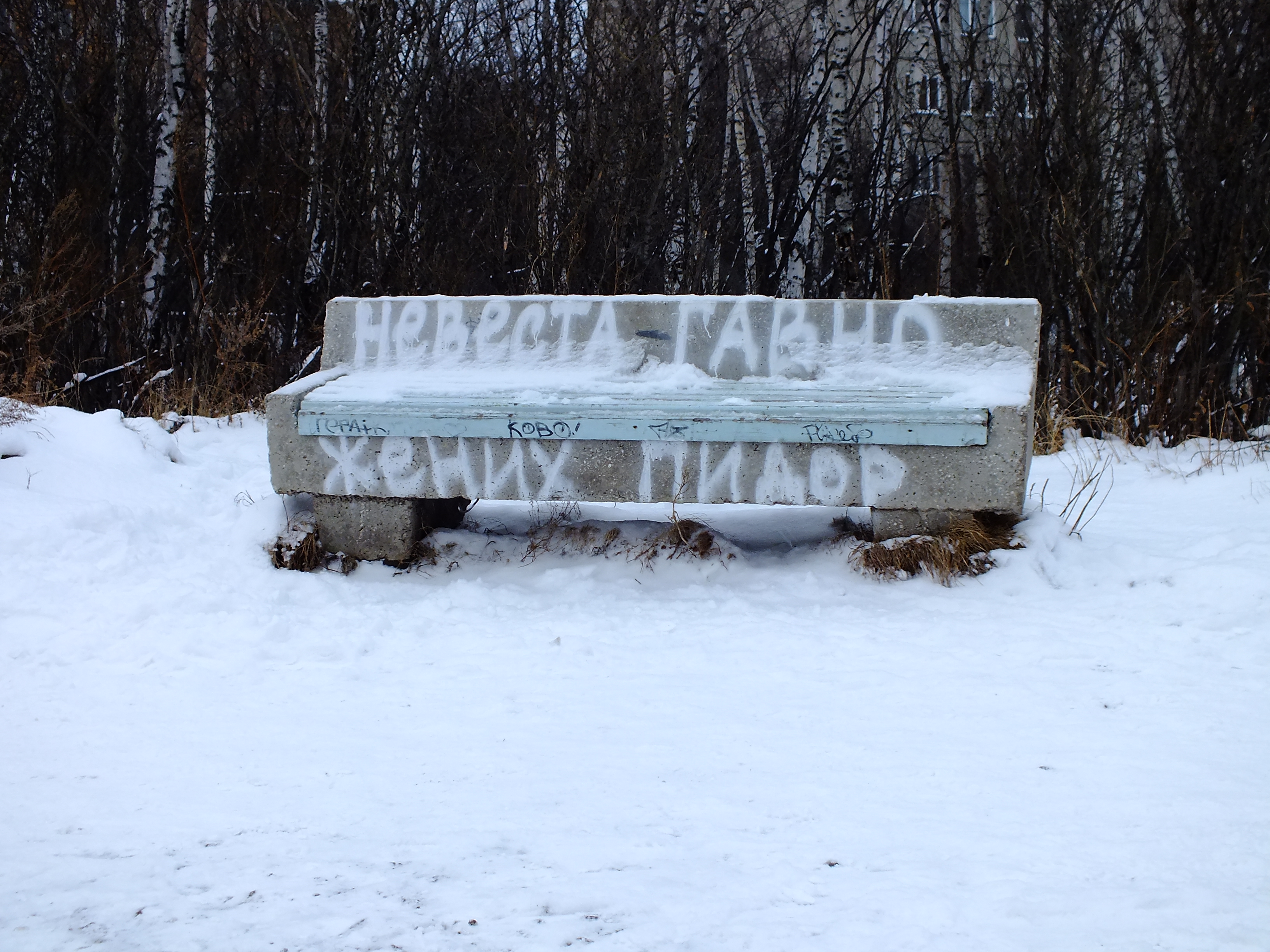 Саяногорск Инфо - dscf5253.jpg, Скачано: 411