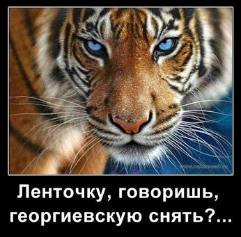 Саяногорск Инфо - bma7z6scyaa2qil.jpg, Скачано: 2627